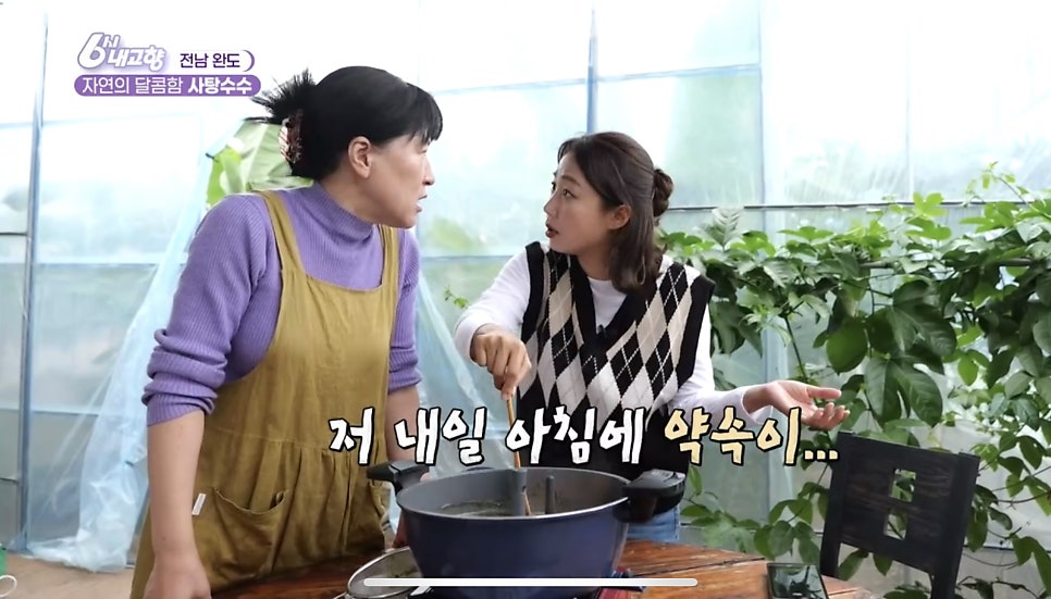 내고향농수산물 이미지