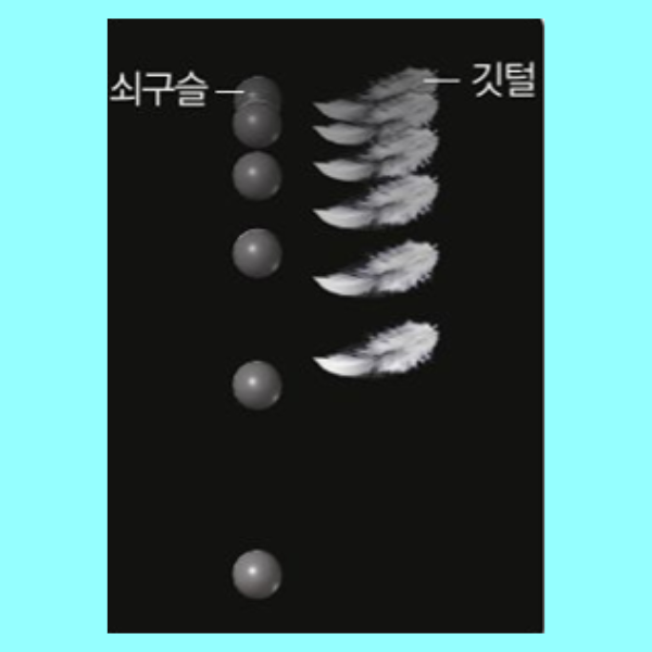 자유낙하운동 물체의 시간에 따른 속력 변화 질량 관계 : 네이버 블로그
