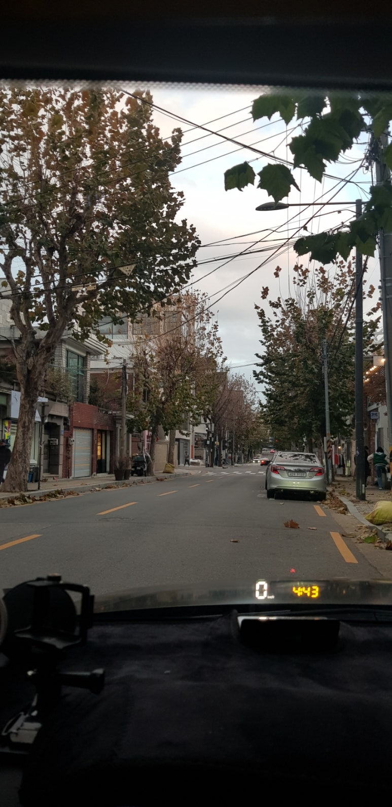 칸페키 이미지