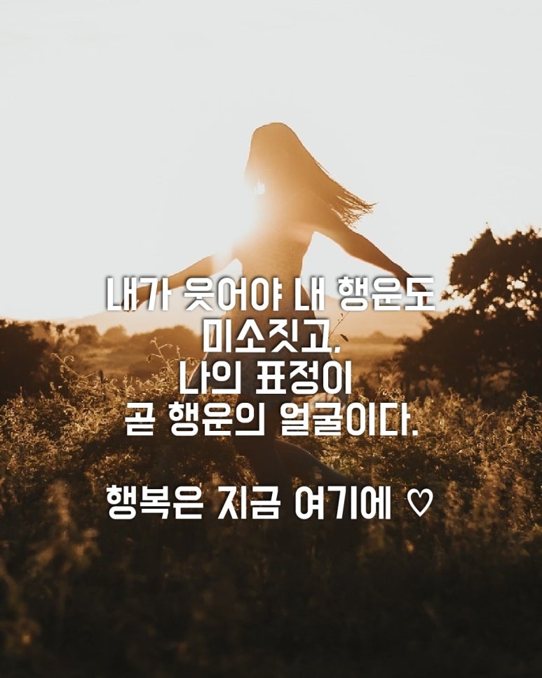 행복은여기에 이미지