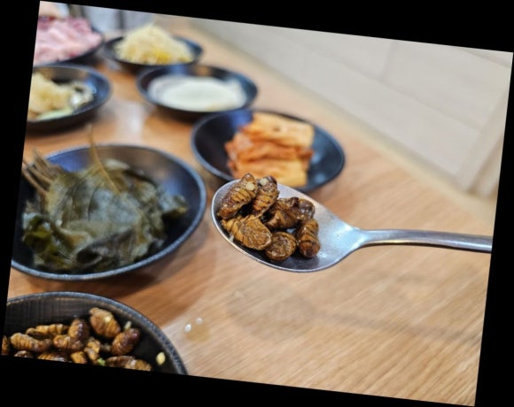 풍성한뒷고기 이미지