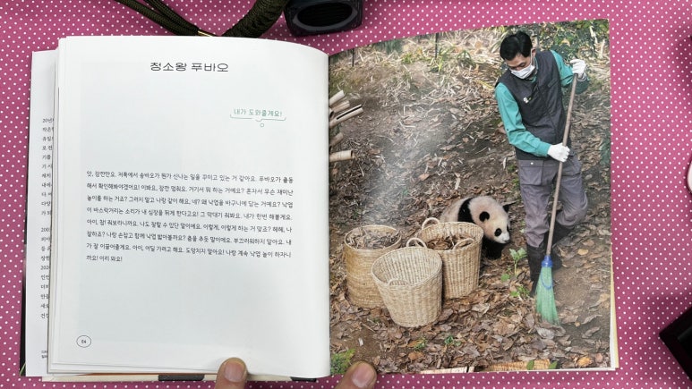 셀러바오 이미지