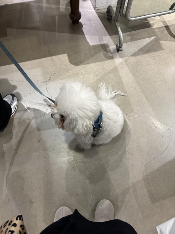 비이커신세계백화점 이미지