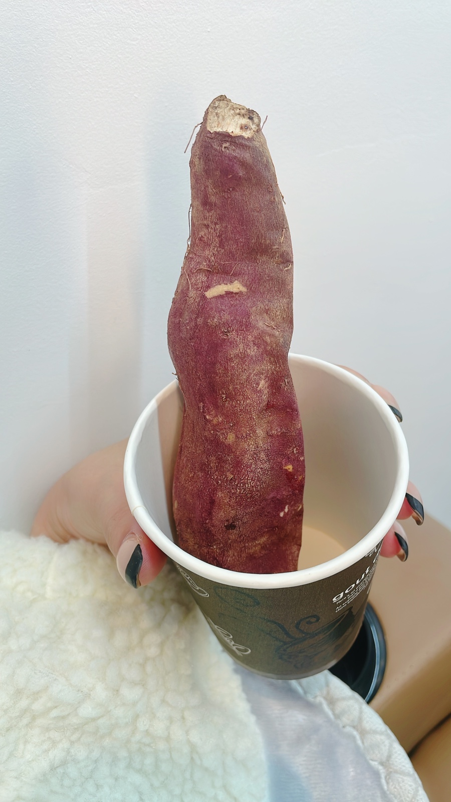 다나네일 이미지