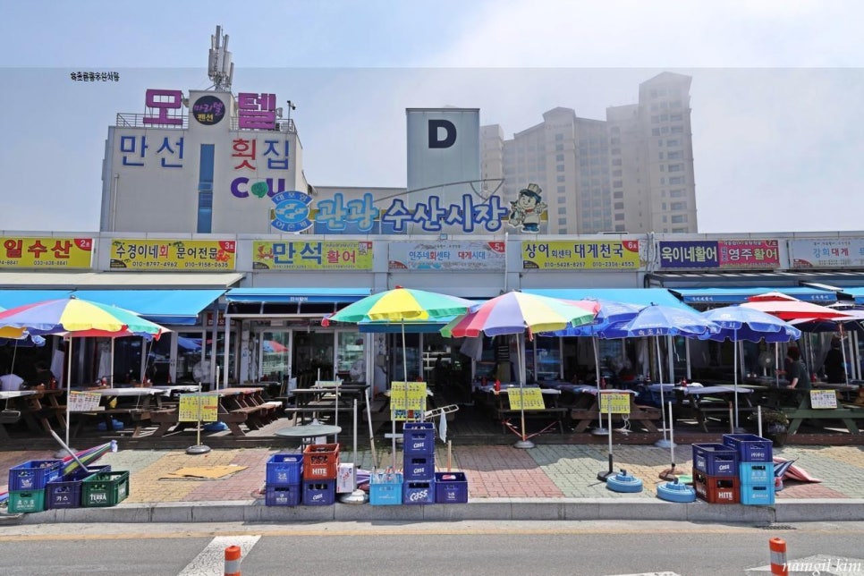 속초수산 이미지