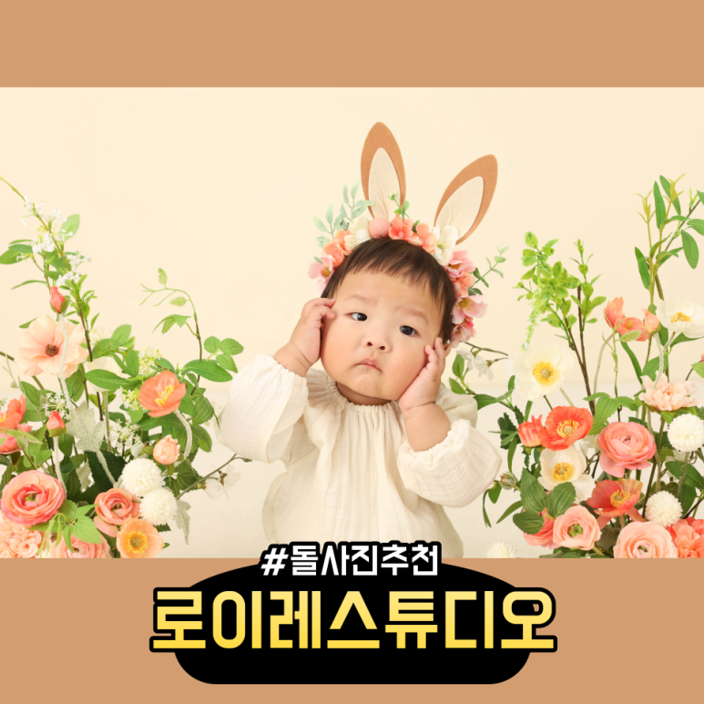 로이레스튜디오 이미지