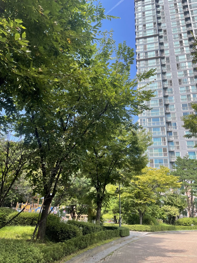타마시헤어 동탄센트럴점 이미지