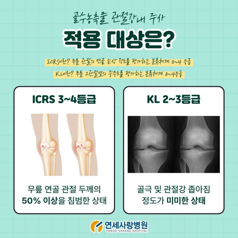 (주)라이파 이미지