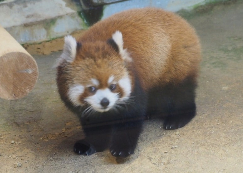 메이샹 이미지