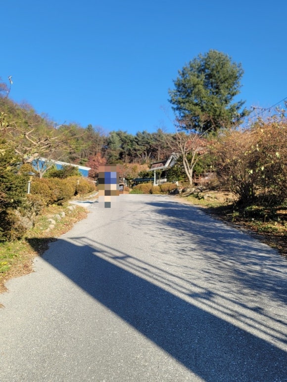 벨리시모카페 이미지