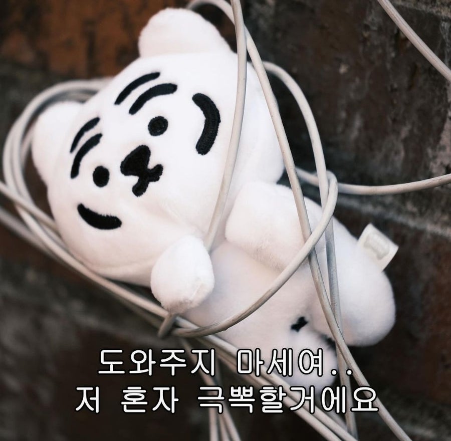 드롭탑논산 이미지