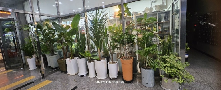 마곡꽃광장 이미지