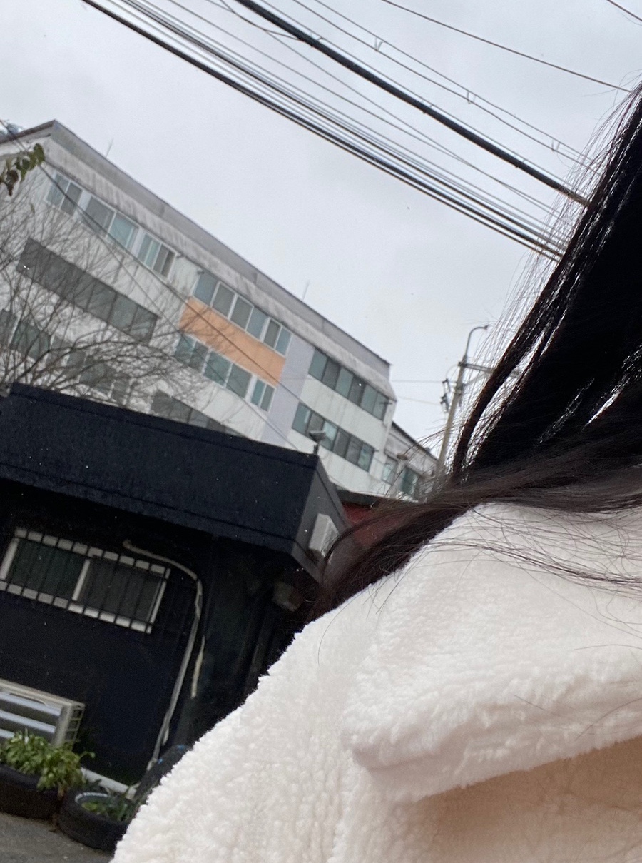 비바리코 이미지