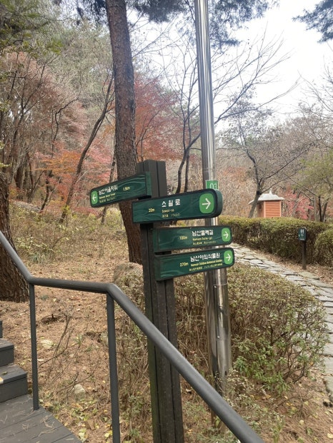 미디어트리 이미지