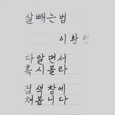오늘도점핑 이미지