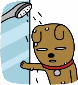 하얀풍차제과 이미지