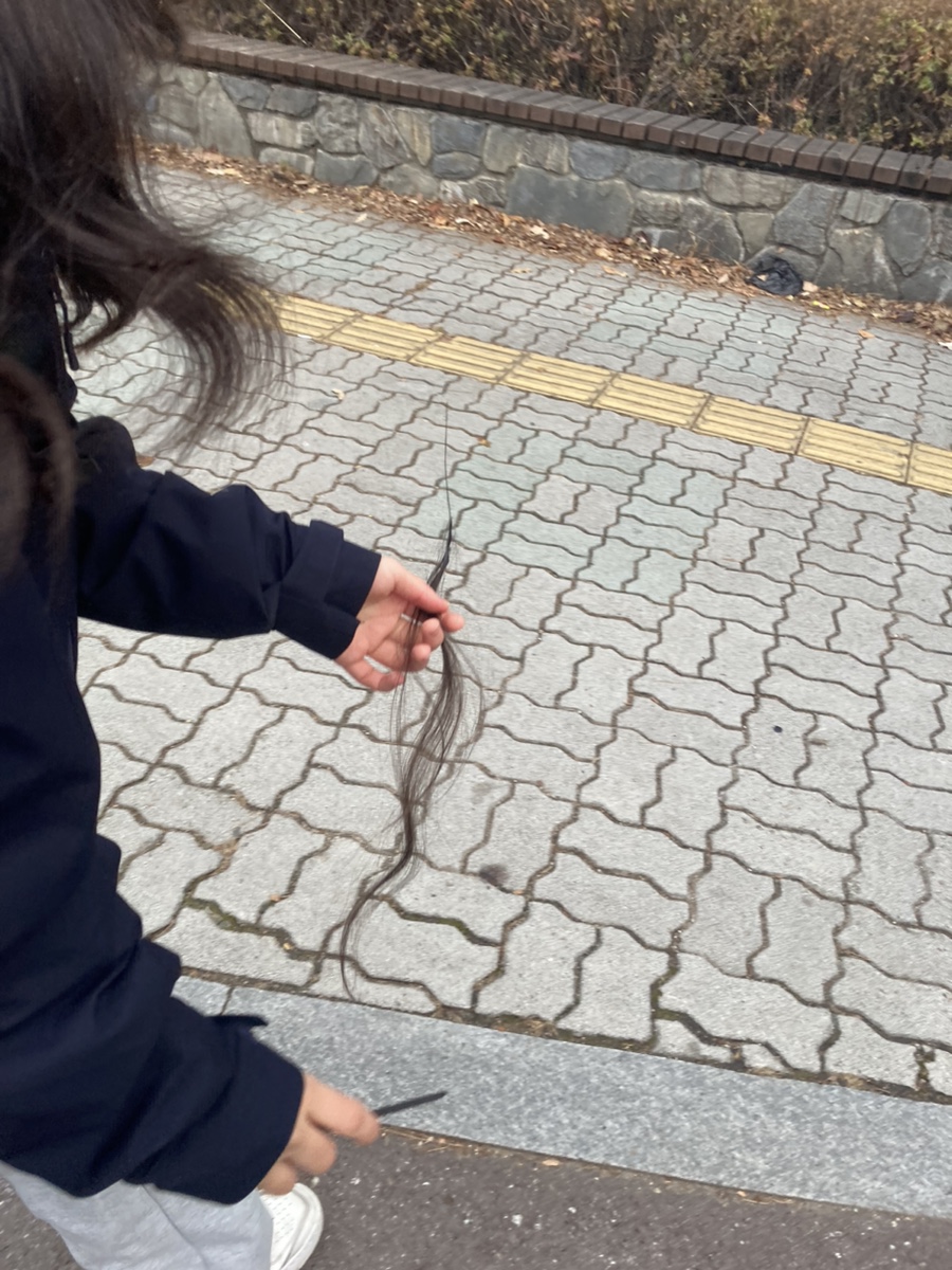 에스제이에스 이미지