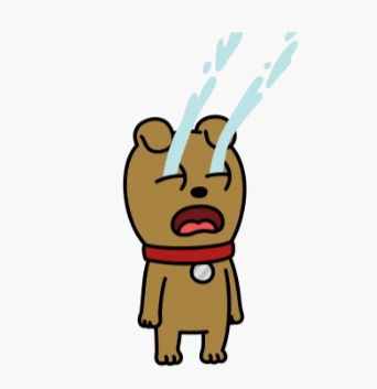 하얀풍차제과 이미지
