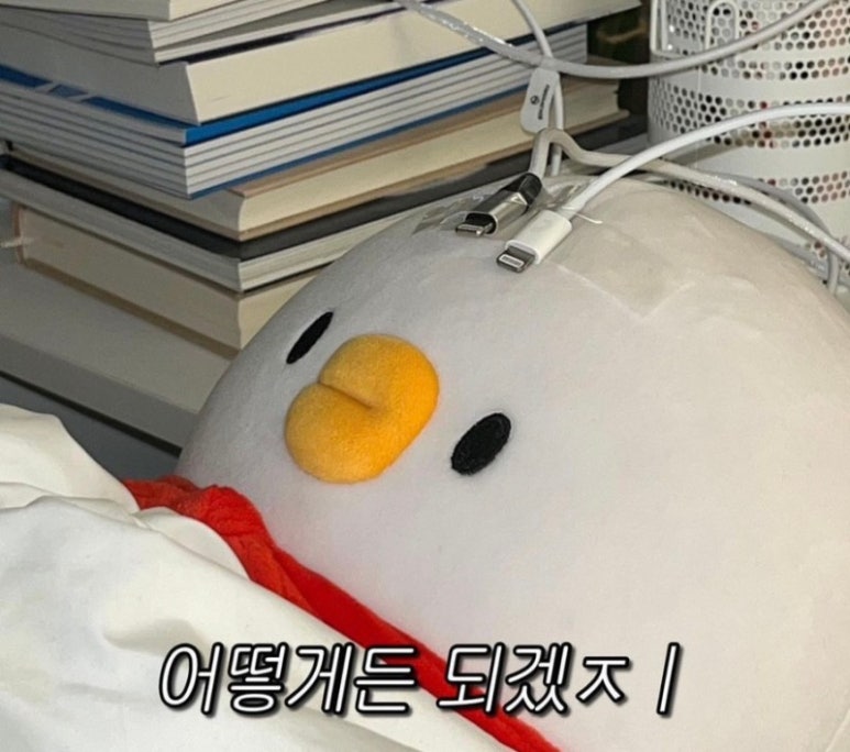 더마레104 이미지