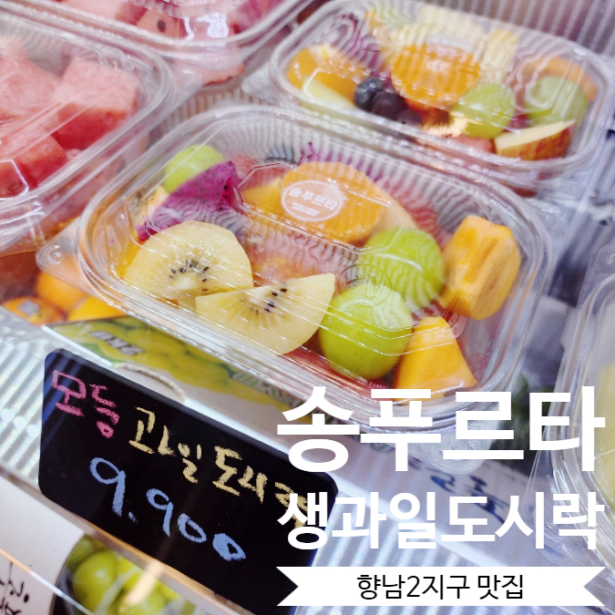 송푸르타 이미지