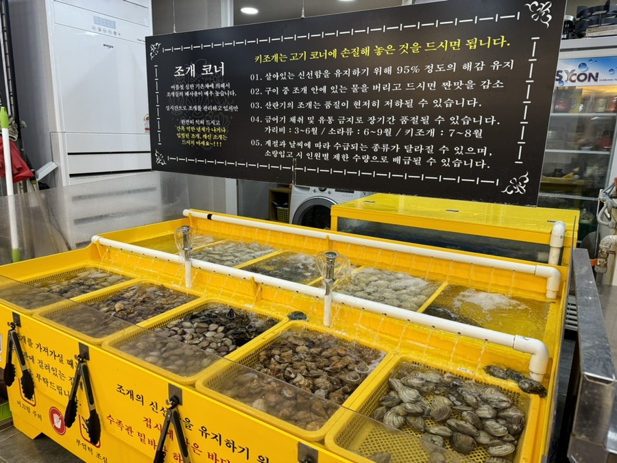 일타삼피 이미지