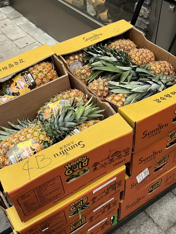 과일연구냥 이미지