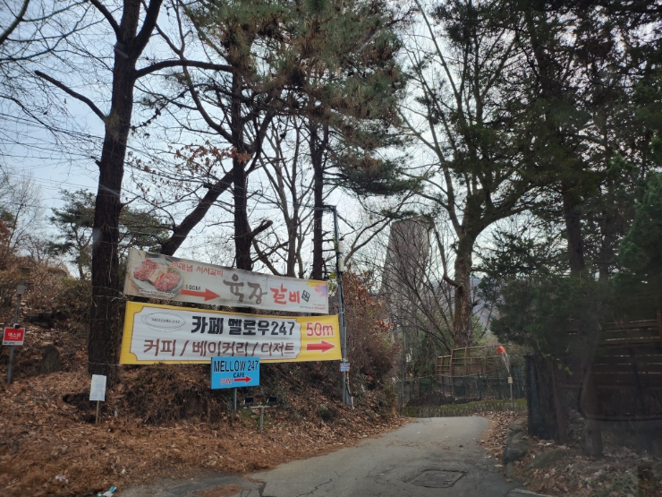 멜로우247 이미지