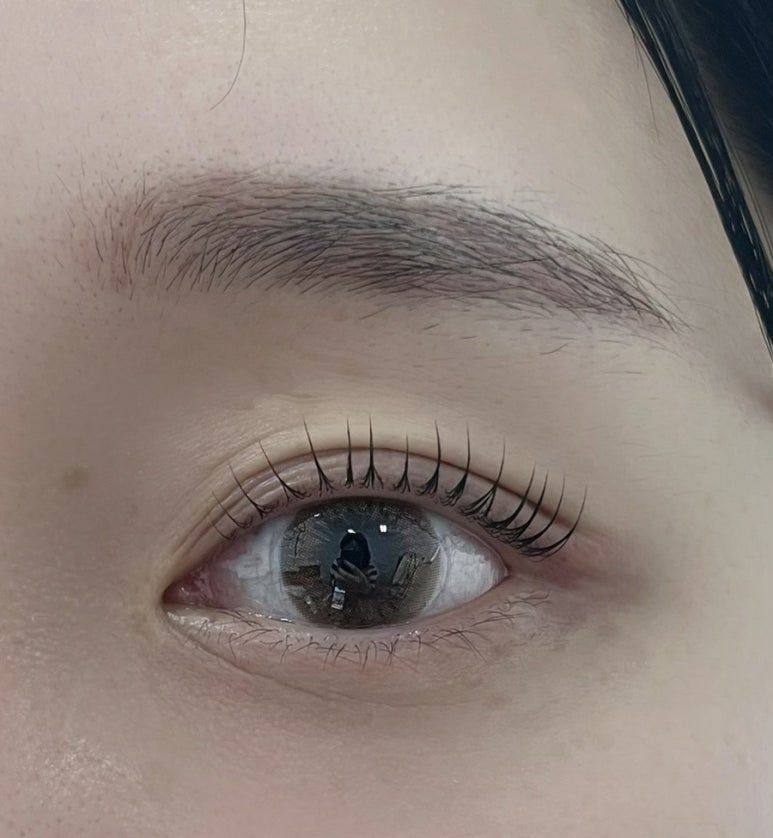 몽땅브로우 이미지