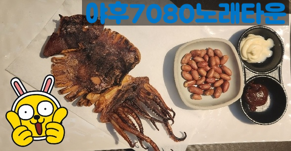땅콩노래타운 이미지