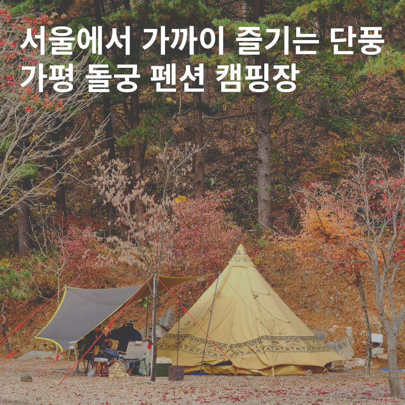 돌궁 이미지