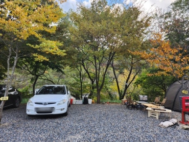 제제캠프 이미지