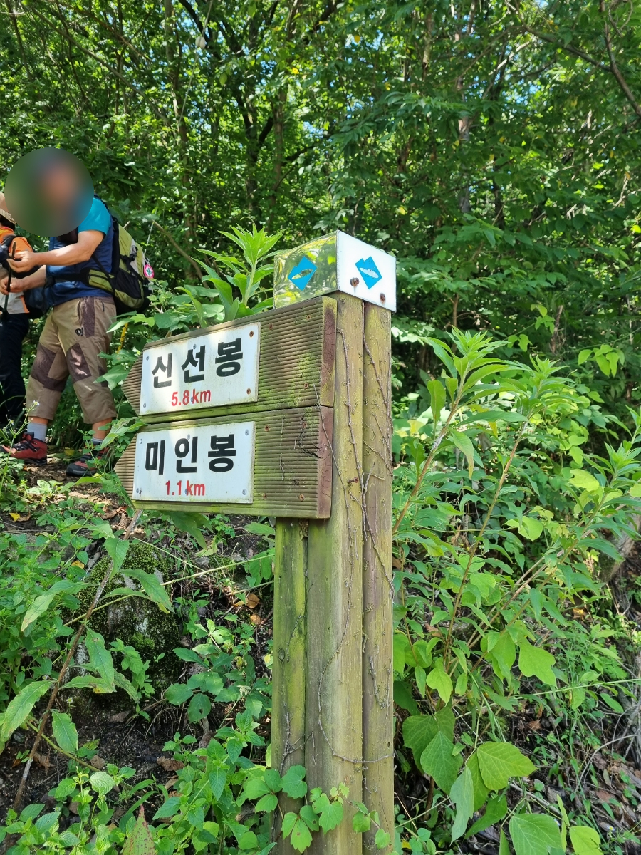 미인봉(저승봉) 정상 이미지