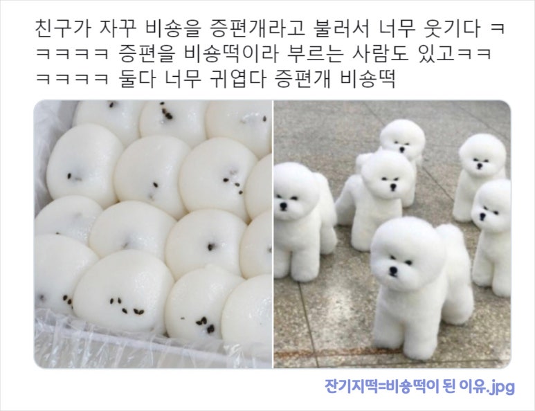 송화잔기지떡 이미지
