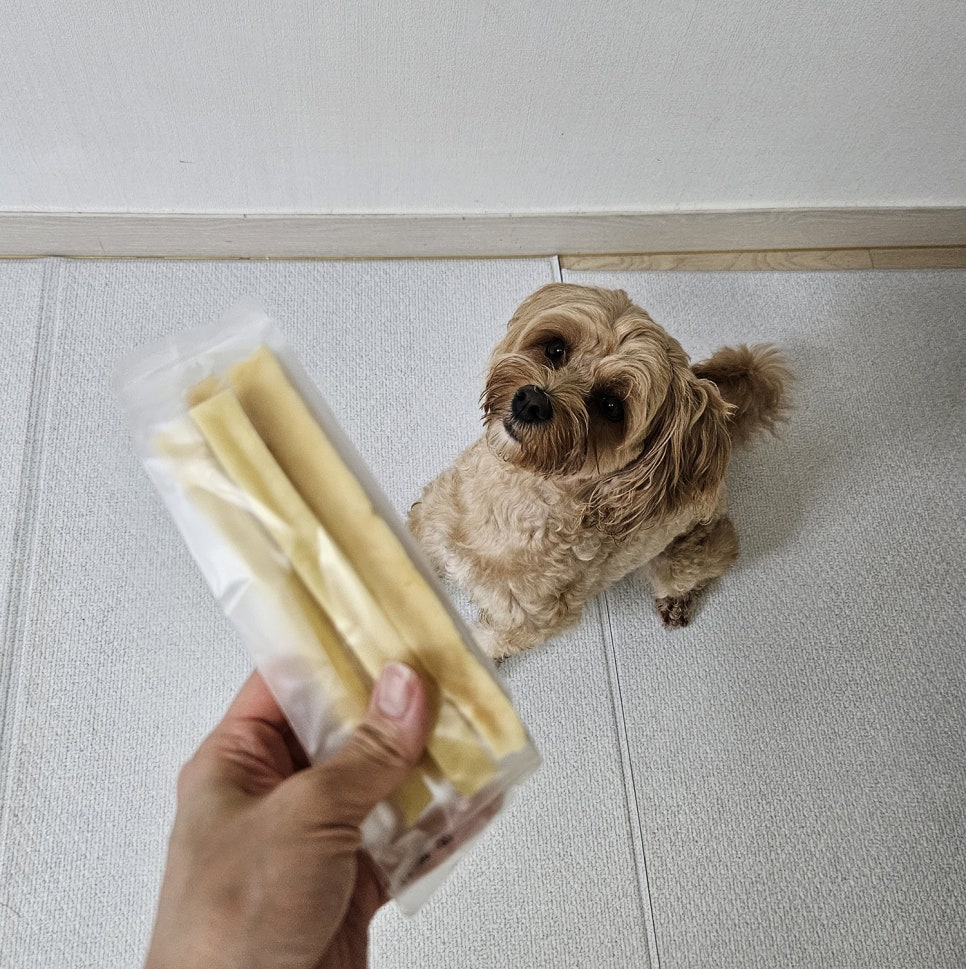 단이마켓 이미지