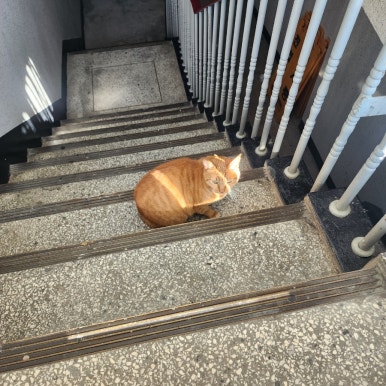 박기환베이커리 이미지