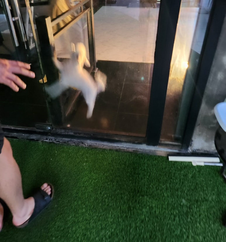 영심이쌈밥 이미지