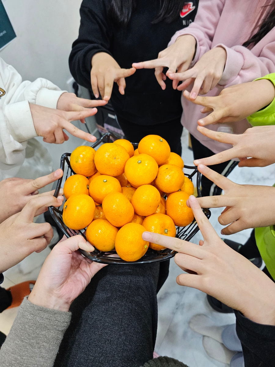 꼬마피아니스트음악학원 이미지