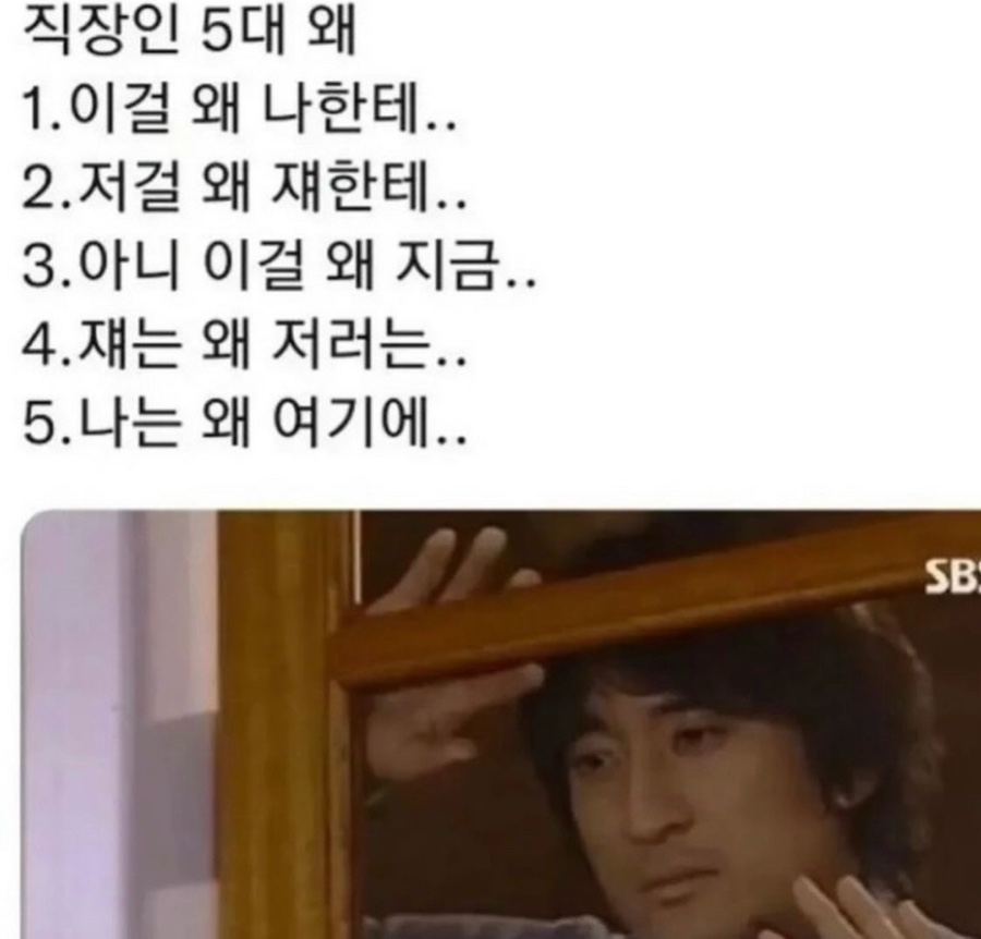 조조카페 이미지