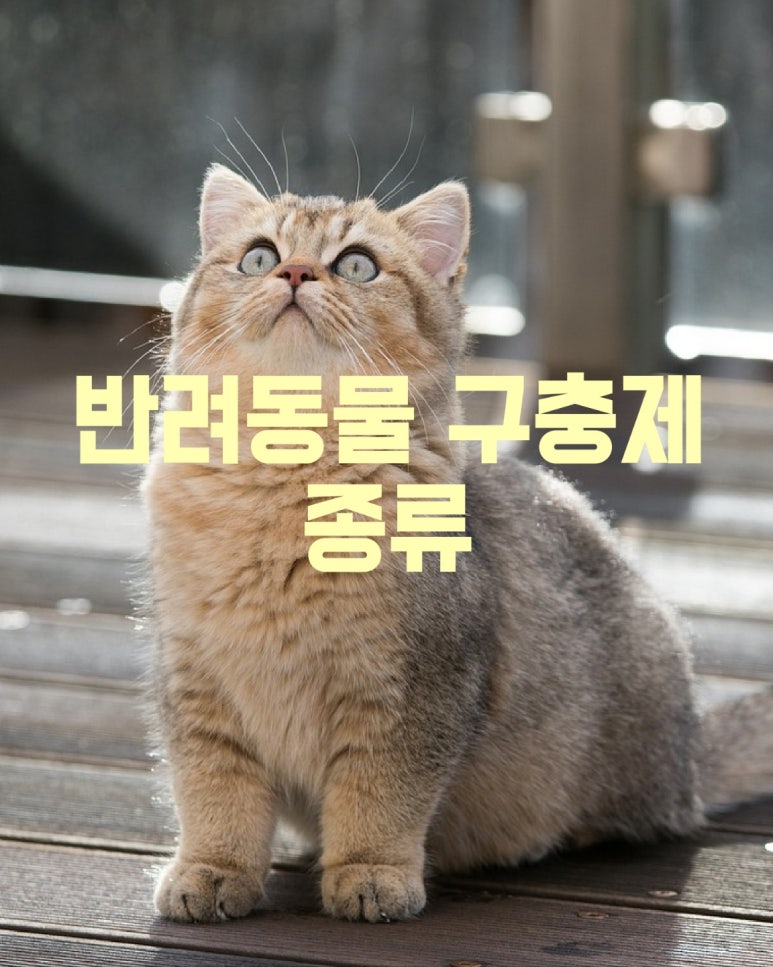 반려동물의 구충제 종류별