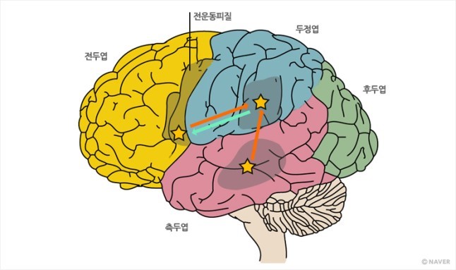 더뉴런 이미지