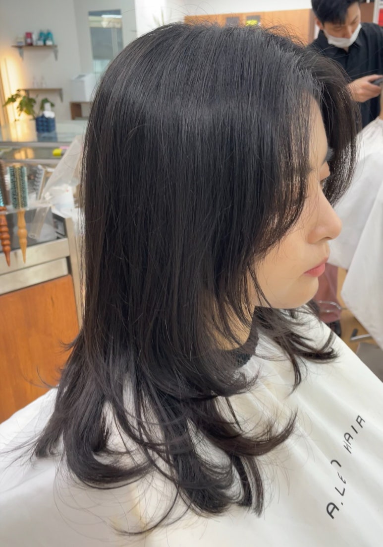 에이린헤어 이미지