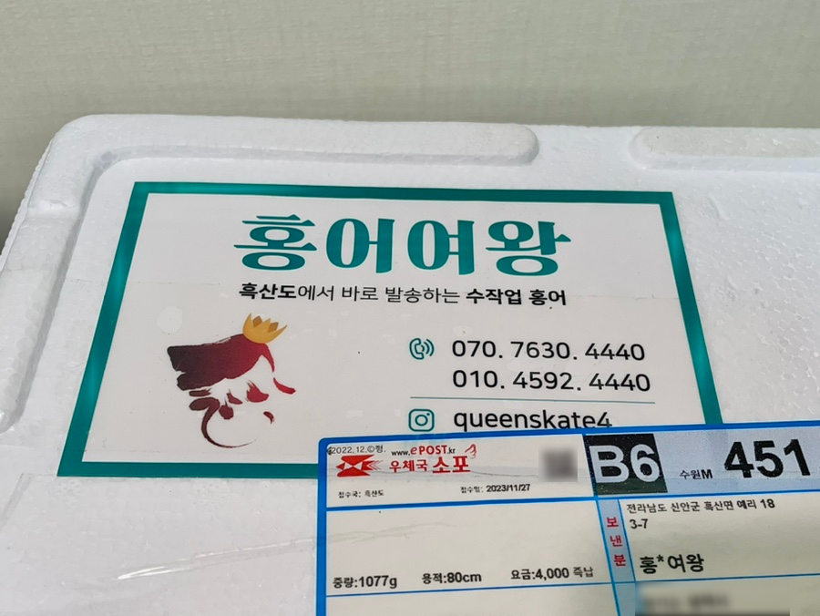 홍어여왕 이미지