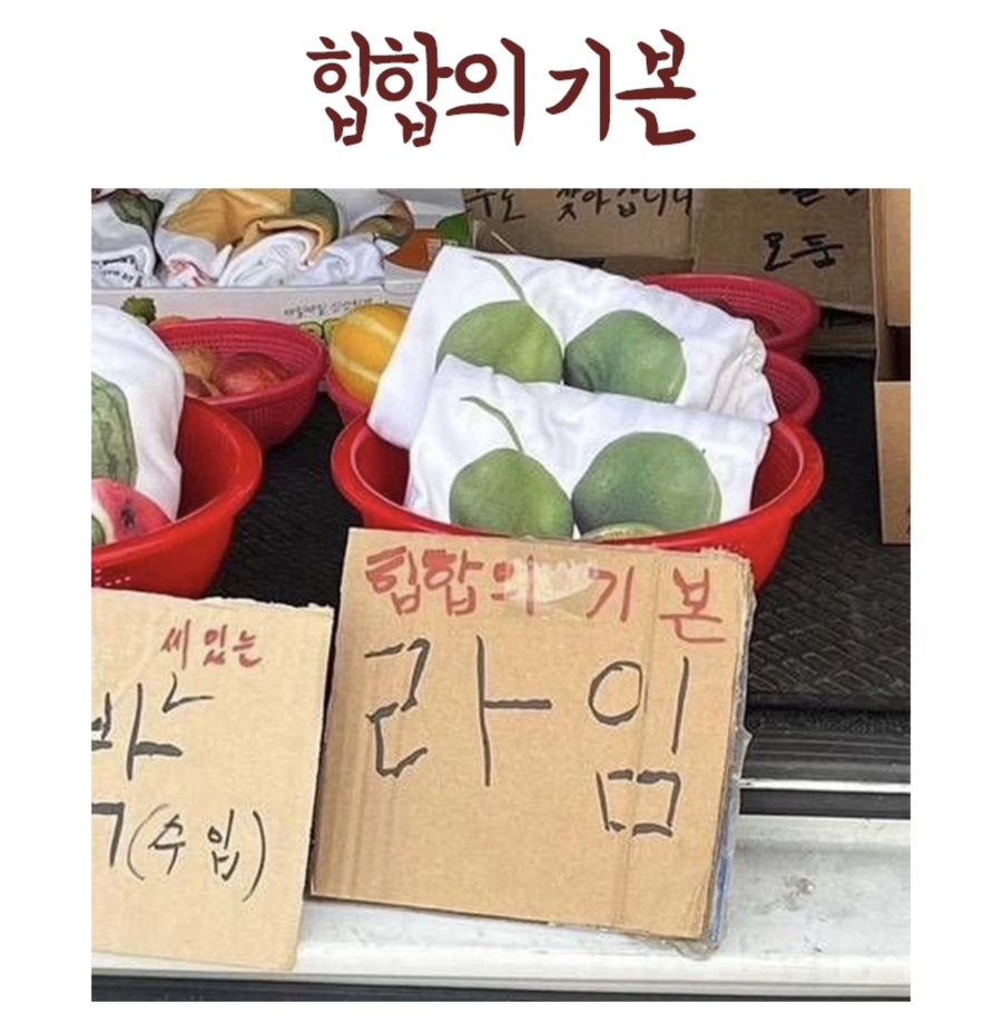뽀비 이미지