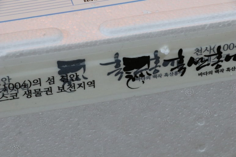 홍어여왕 이미지