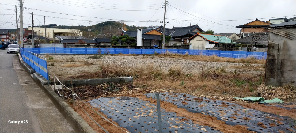 선화다실 이미지