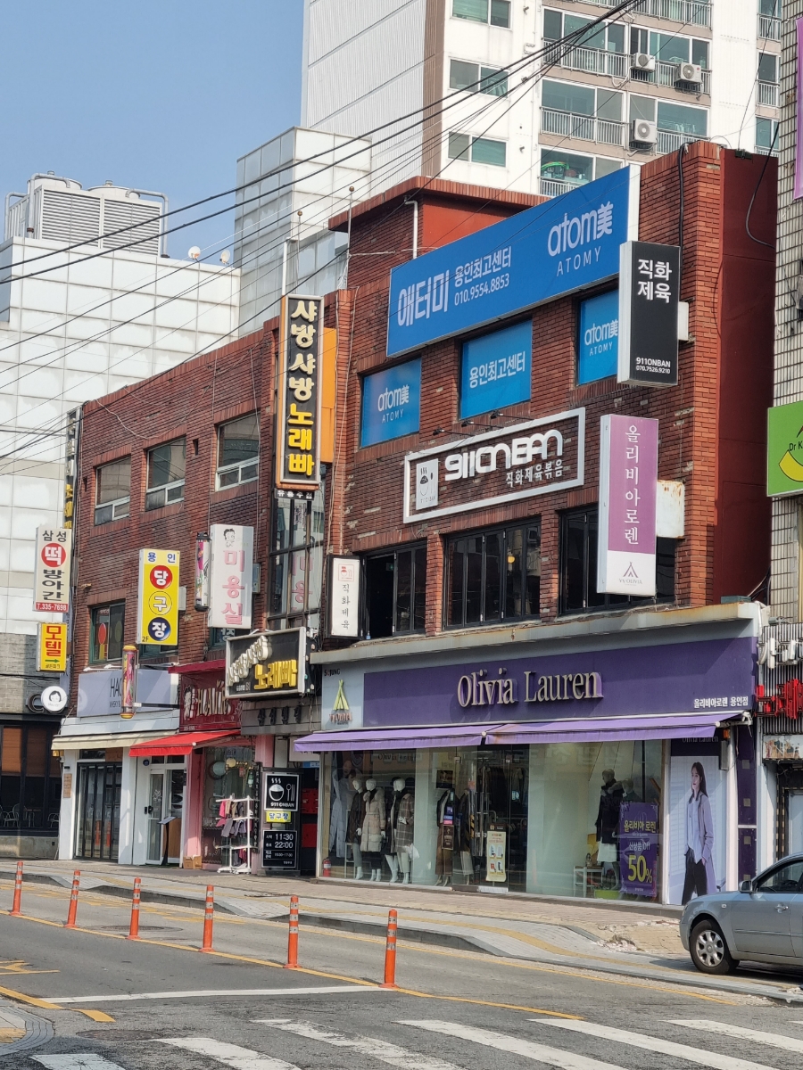 911온반 이미지