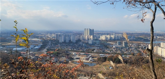 한국원예문화진흥원 이미지