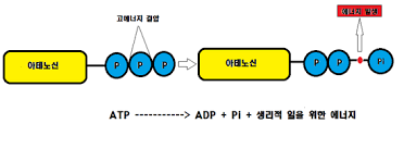 디오엠피트니스 이미지