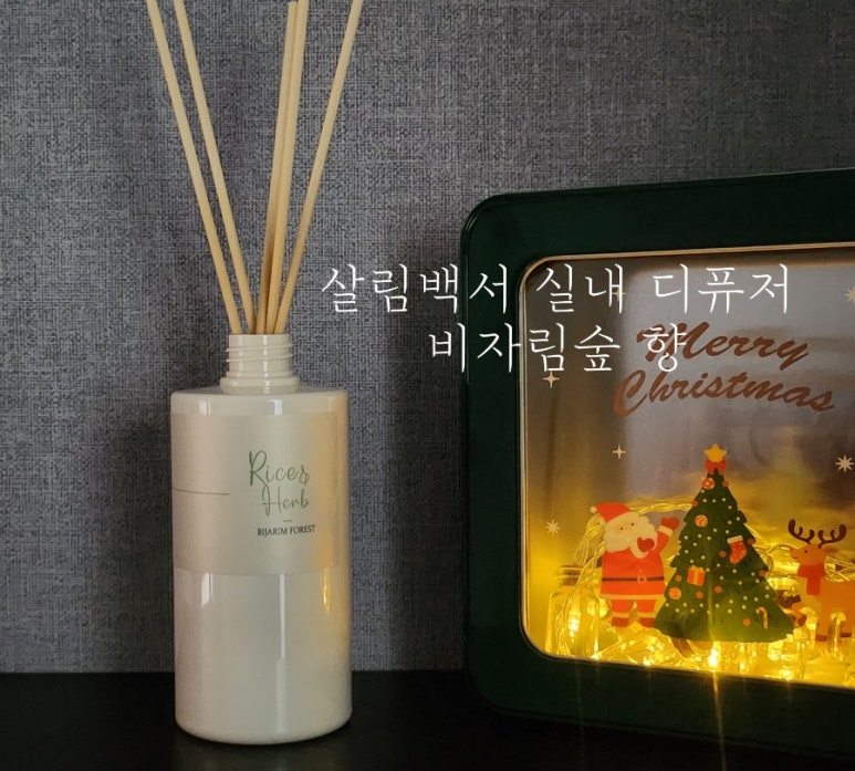 비자림H 이미지