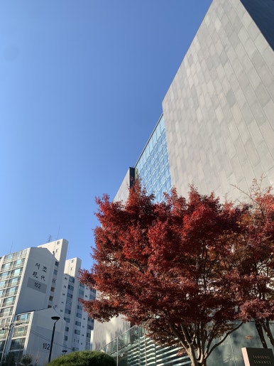 텐퍼센트커피시흥장곡점 이미지